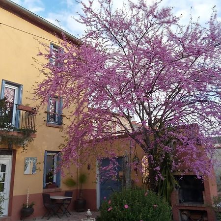 L'Art De Vivre Bed & Breakfast Latour-de-France Exterior photo
