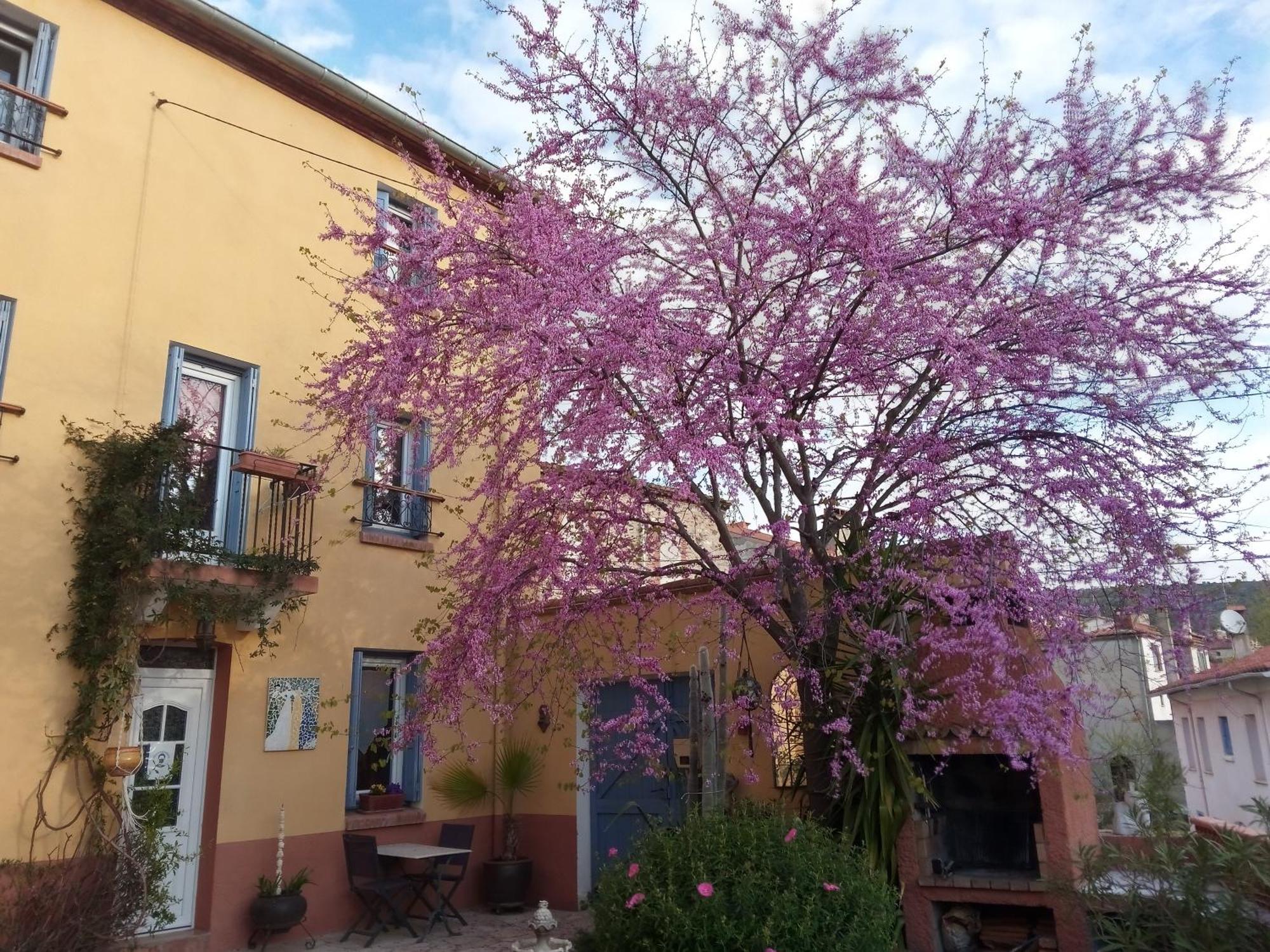 L'Art De Vivre Bed & Breakfast Latour-de-France Exterior photo
