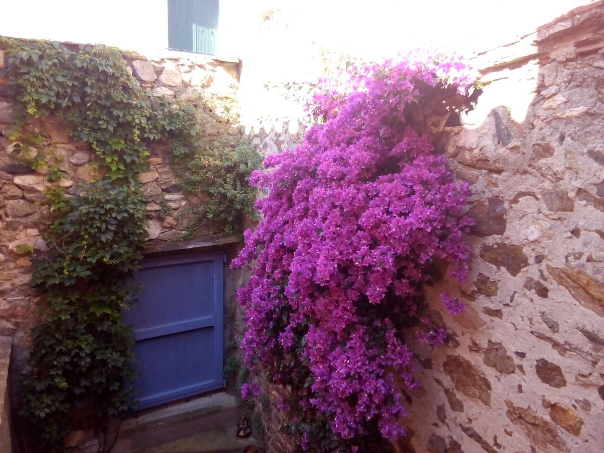 L'Art De Vivre Bed & Breakfast Latour-de-France Exterior photo